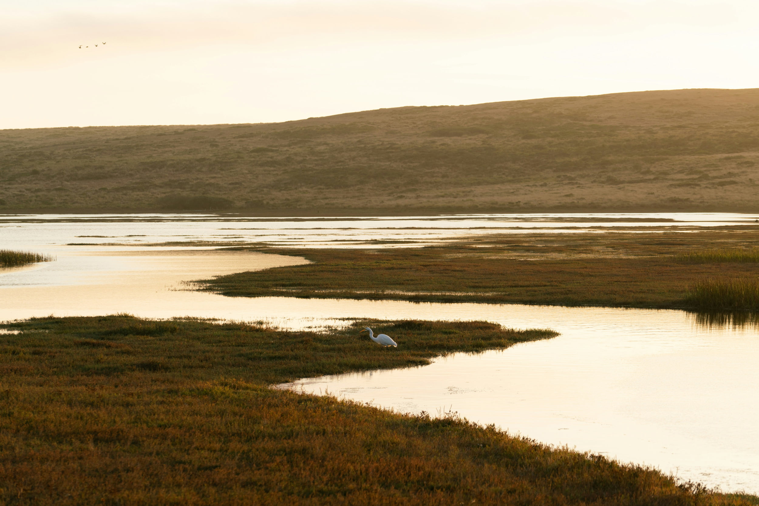 GEO Wetlands