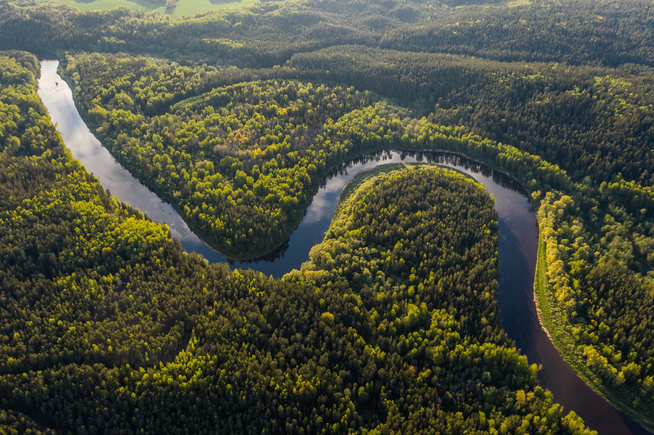 Global Ecosystems and Environment Observation Analysis Research Cooperation