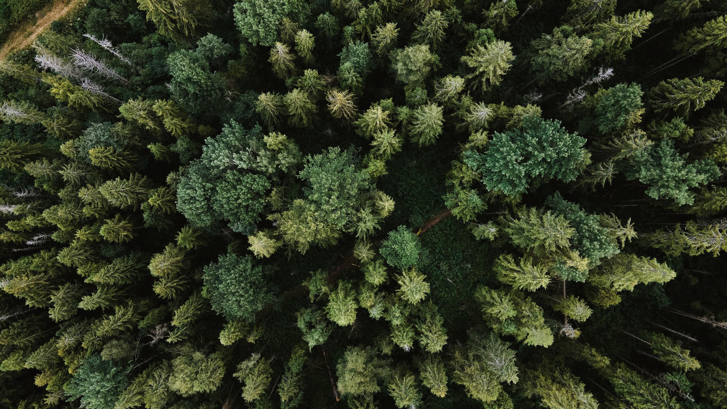 Global Forest Observations Initiative
