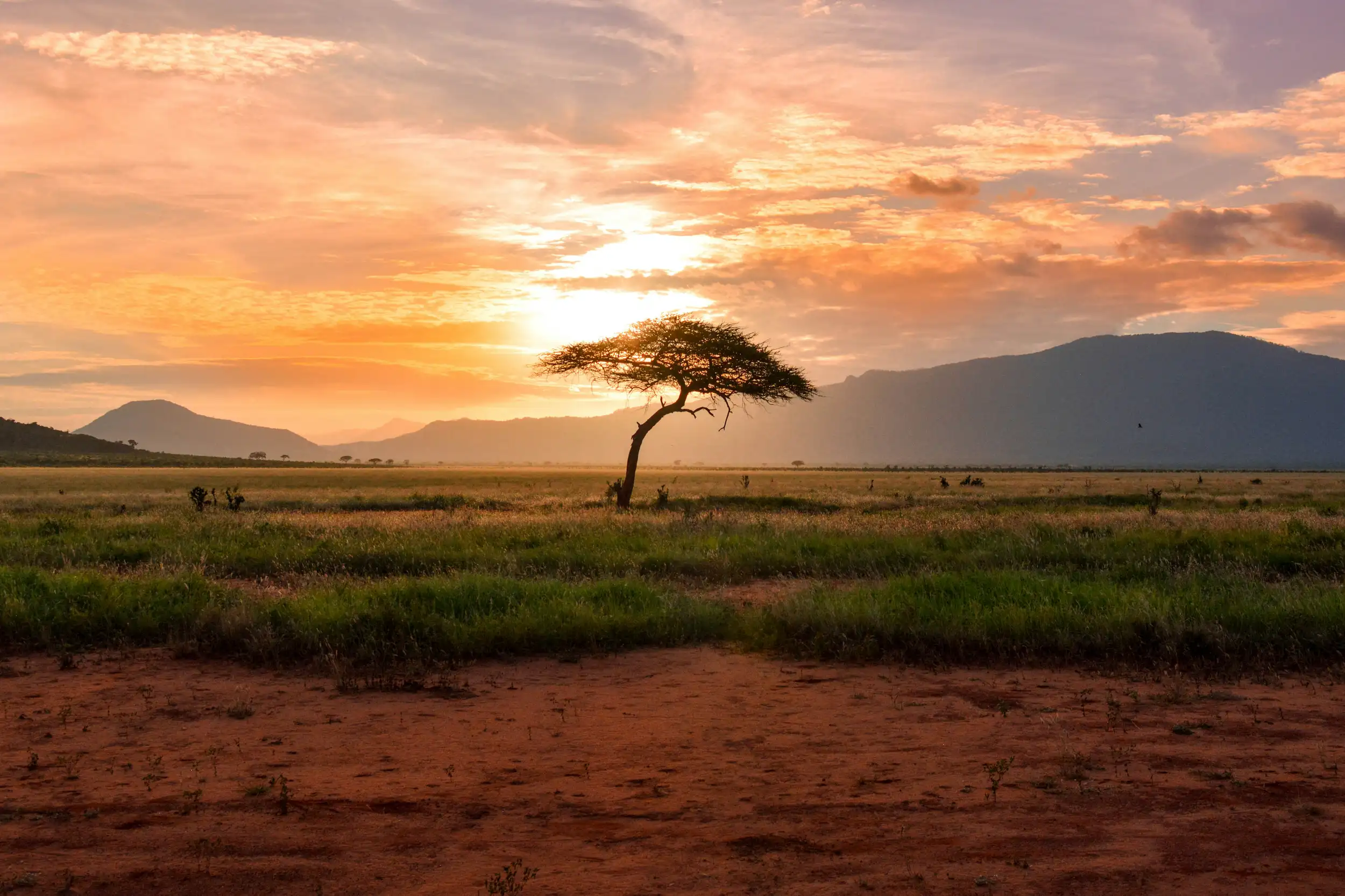 In Situ Observations and Modeling for Weather, Water, Environment, and Climate Services in Africa