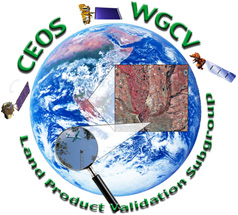 CEOS WGCV Land Product Validation Subgroup