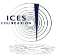 International Centre for Earth Simulation Foundation