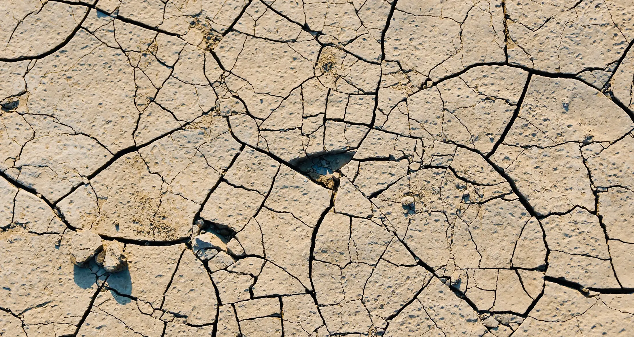 Global Drought Information System