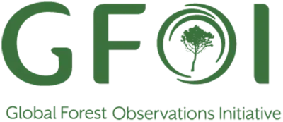 Global Forest Observation Initiative