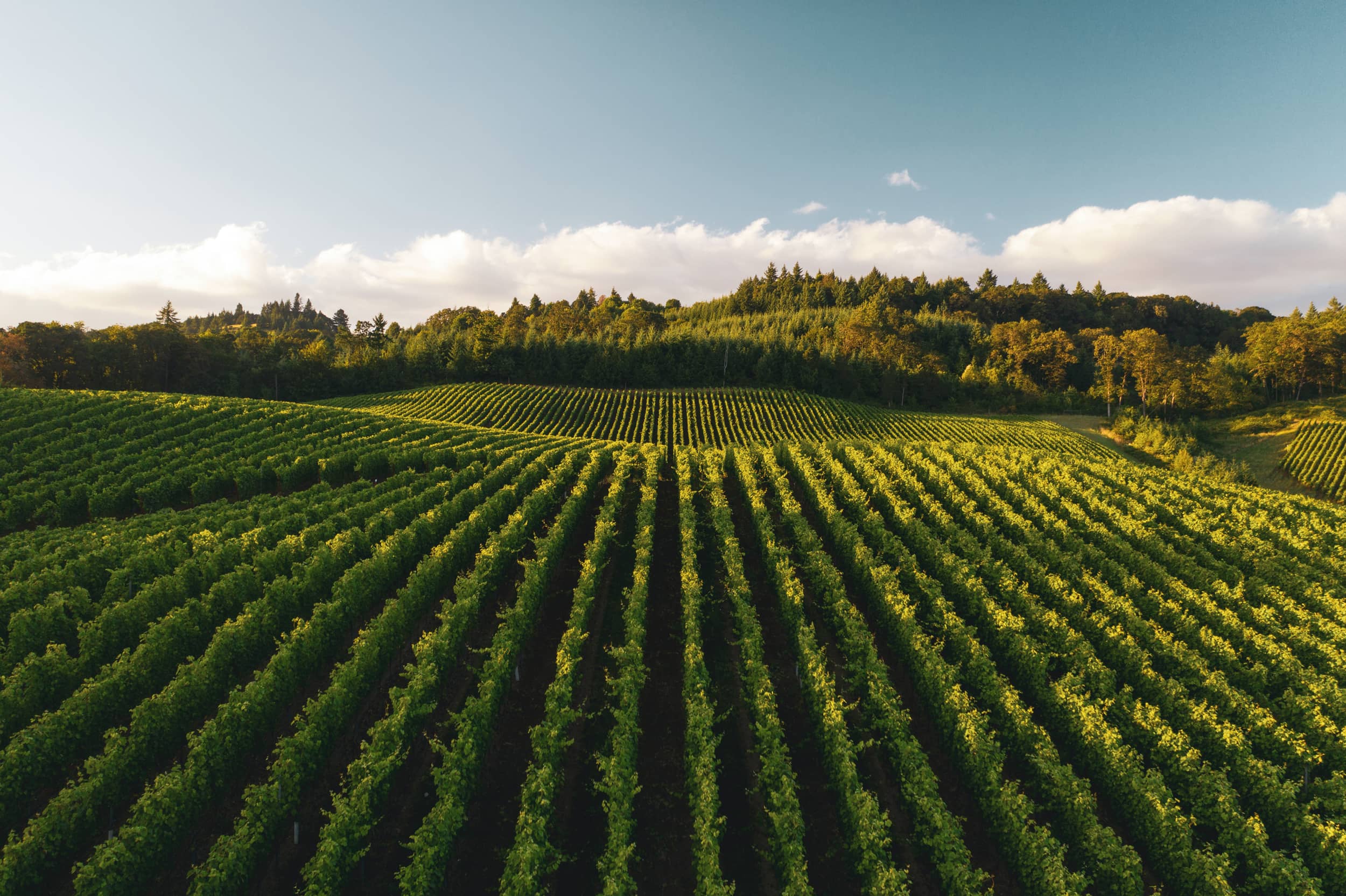 Agriculture and Food Security