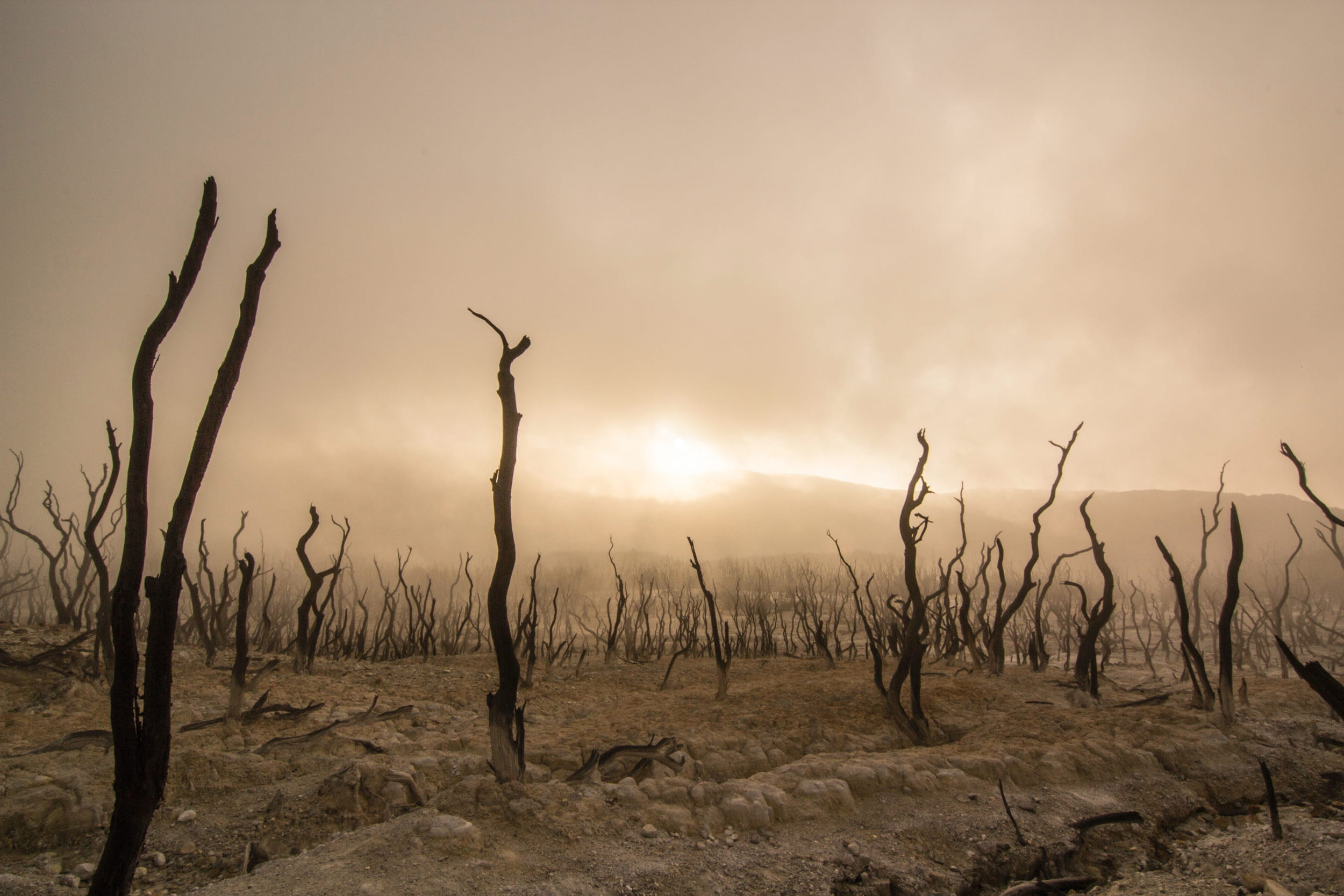 Climate, Energy and Urbanisation