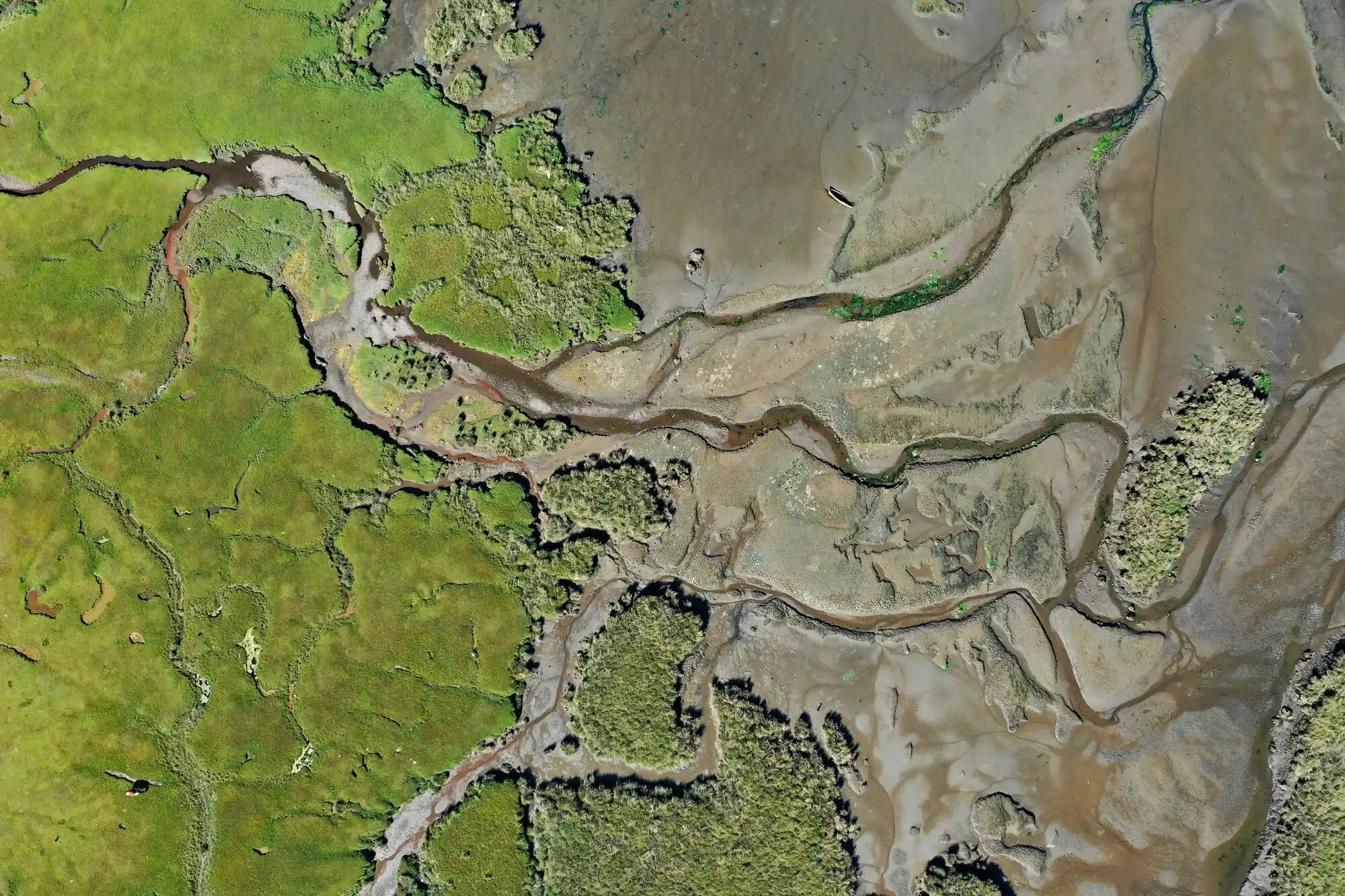 river in the forest