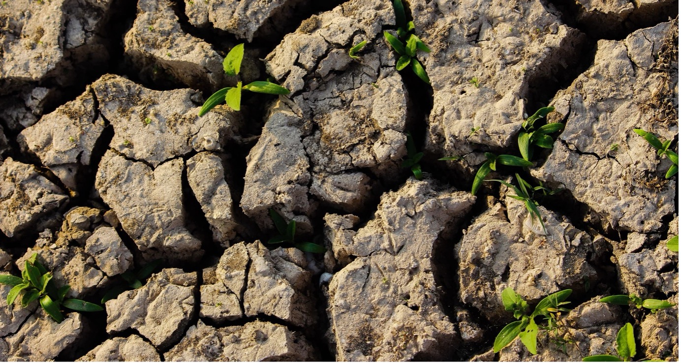 From land signals to restoration action